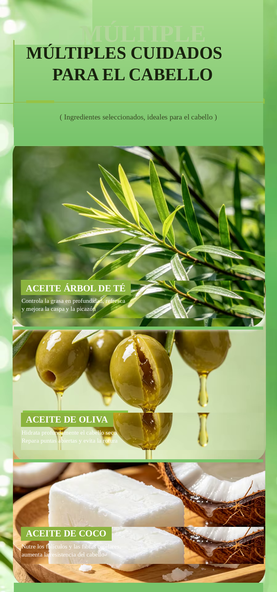 Purite®  -  Pack x 2 Shampoo Sólido de Árbol de Té | Limpieza Profunda Antibacterial